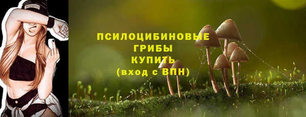 прущий лед Абаза
