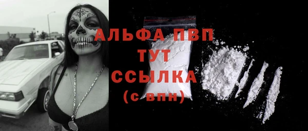 прущий лед Абаза