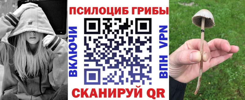 Галлюциногенные грибы Psilocybe  Рассказово 