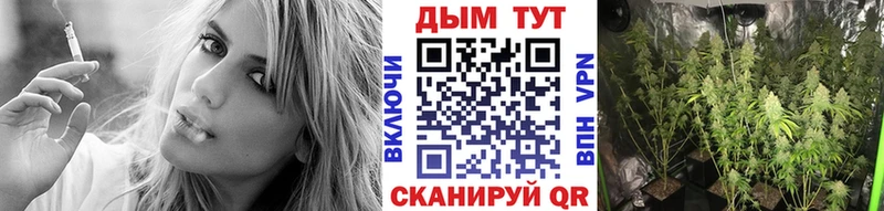 Каннабис планчик  omg онион  Рассказово  как найти  